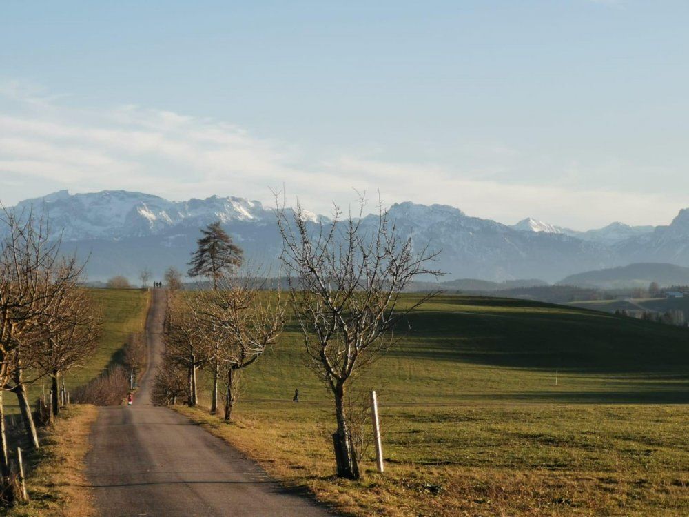 Wanderweg mit Bergblick