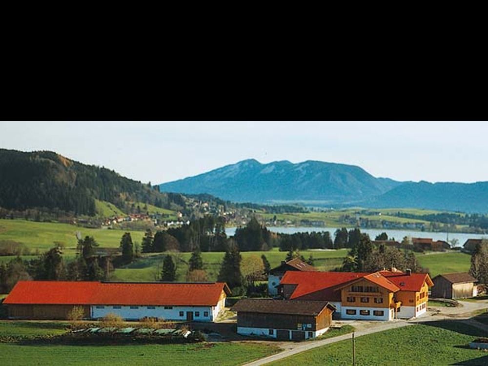 luftbildvonunseremhof