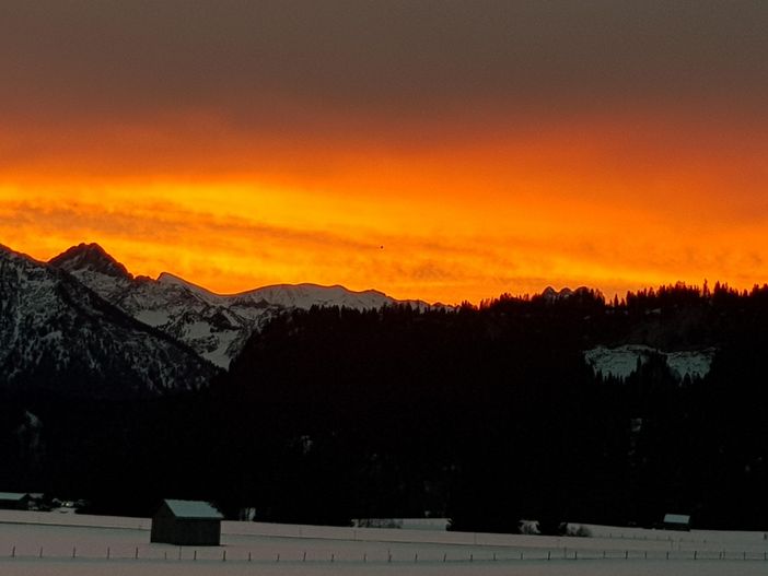 Wintermorgen