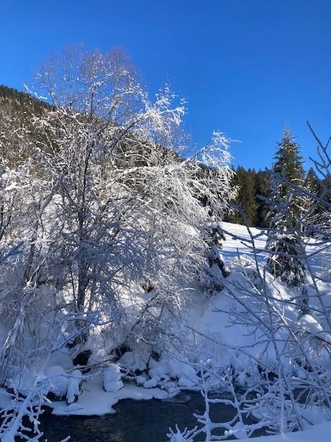 Winterbild