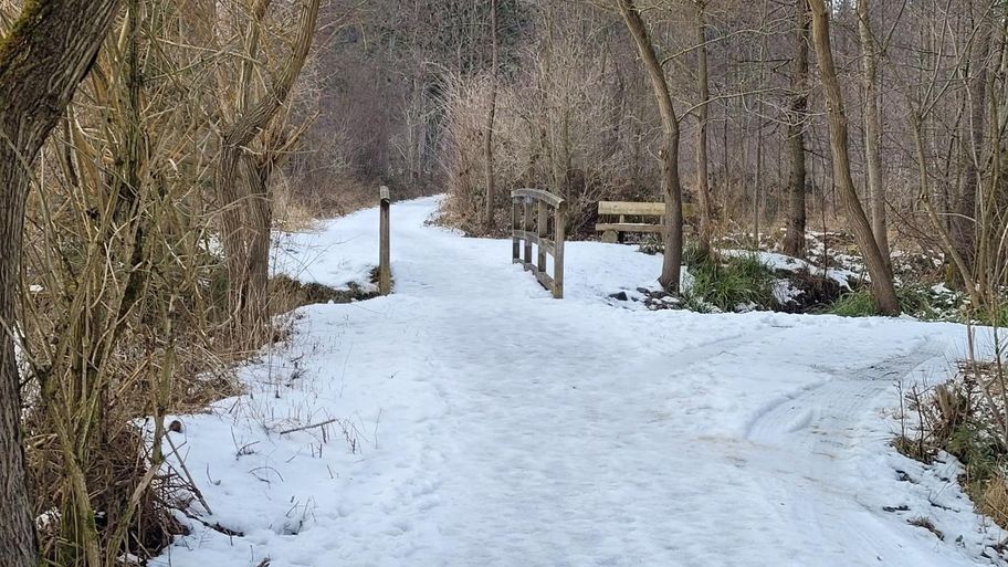 Stadtwaldrunde in Buchloe