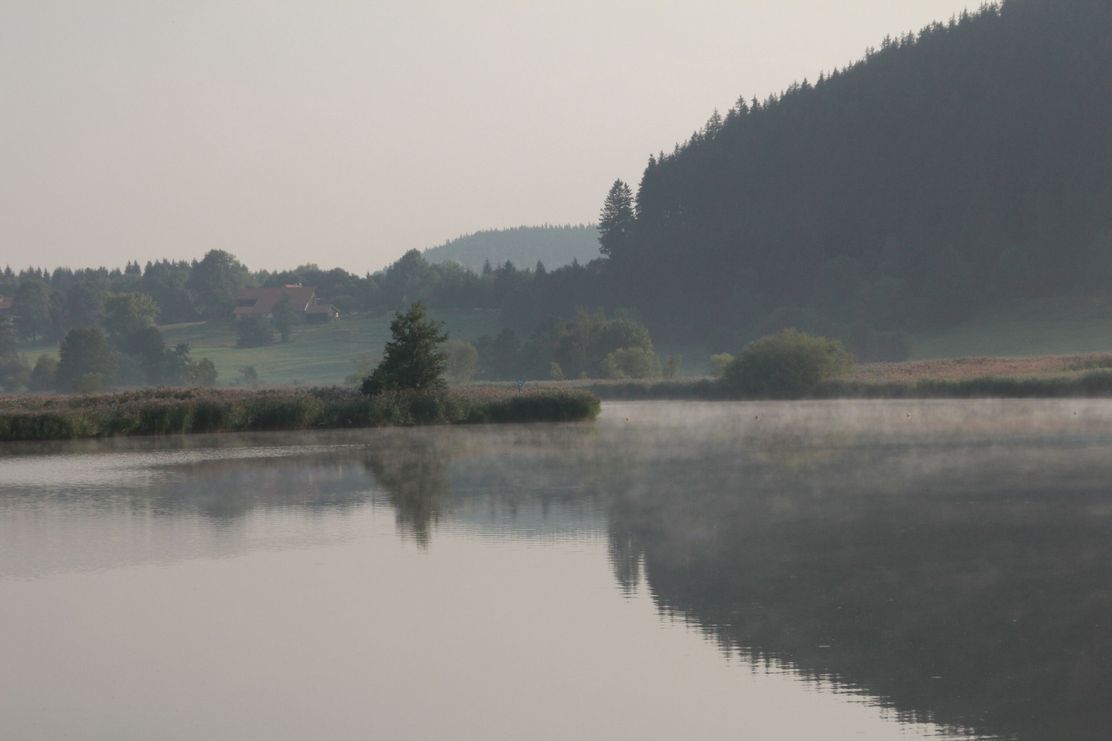 Morgenstimmung am Herrenwieser Weiher