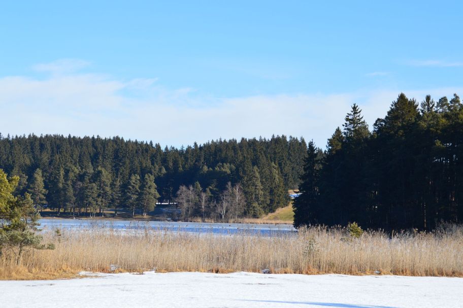 Blick auf den Elbsee