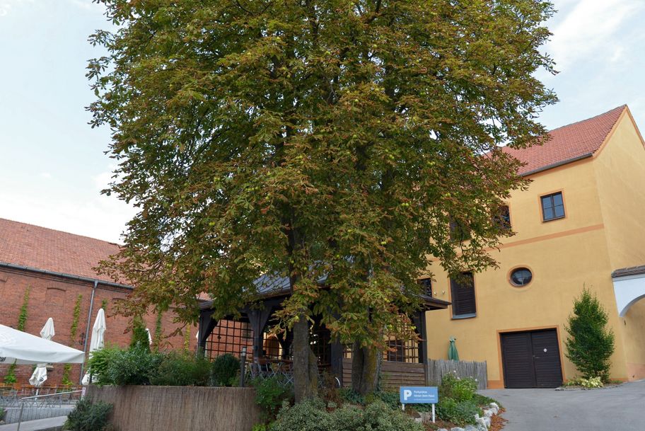 Unterwegs auf dem 3. Abschnitt der Schlossparkradrunde