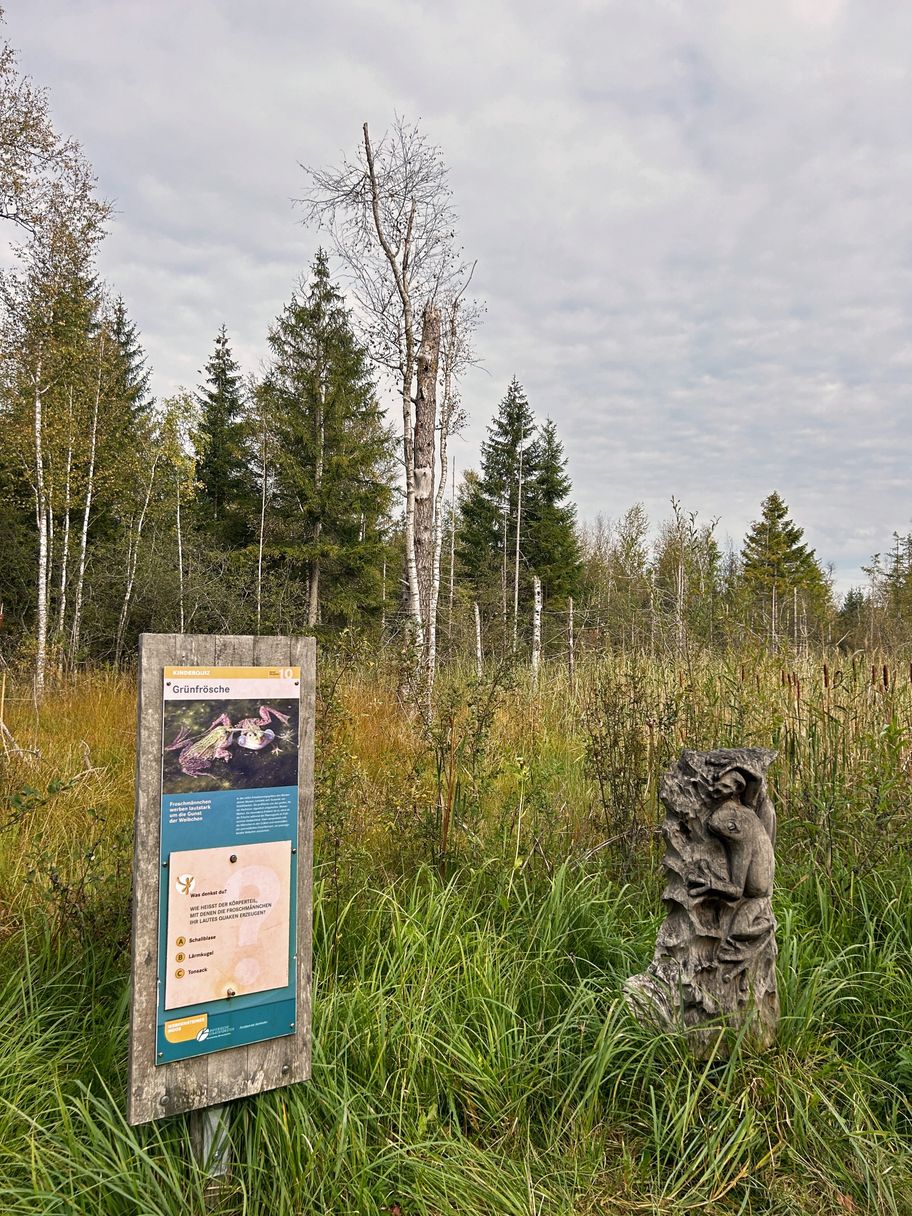 Infotafel im Werdensteiner Moos
