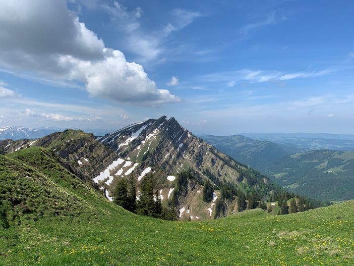 Landschaft 5