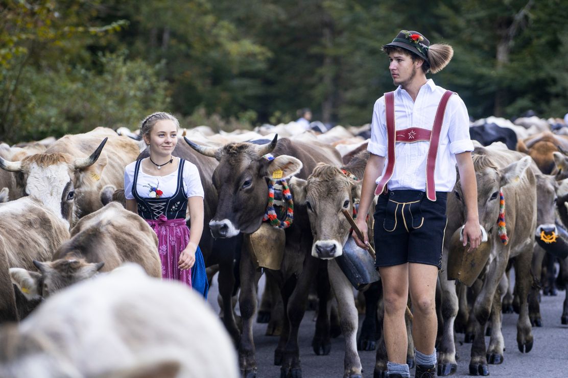 Die_Bierenwangalpe_auf_dem_Weg_zum_Scheidplatz