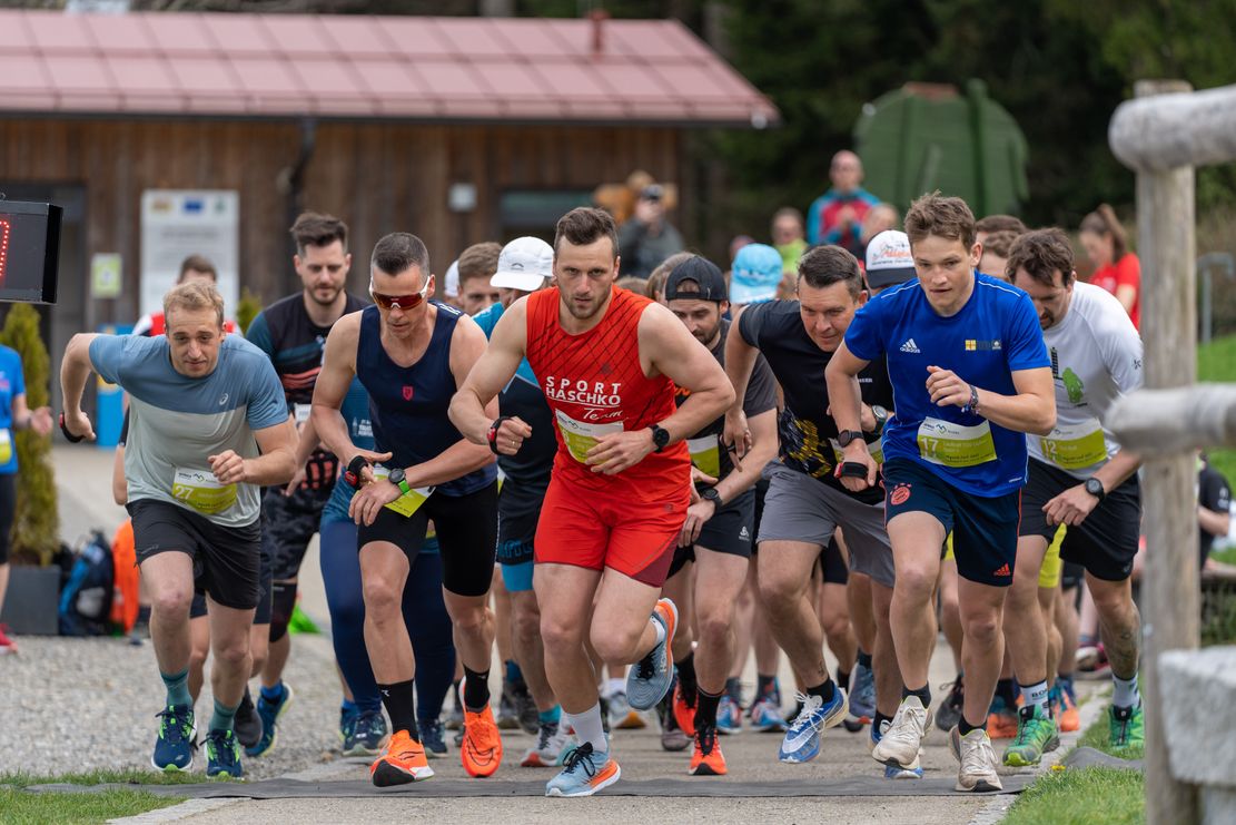 skywalk-lauf-waldwelt-skywalk-allgaeu