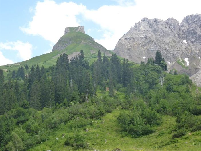 Bergblick