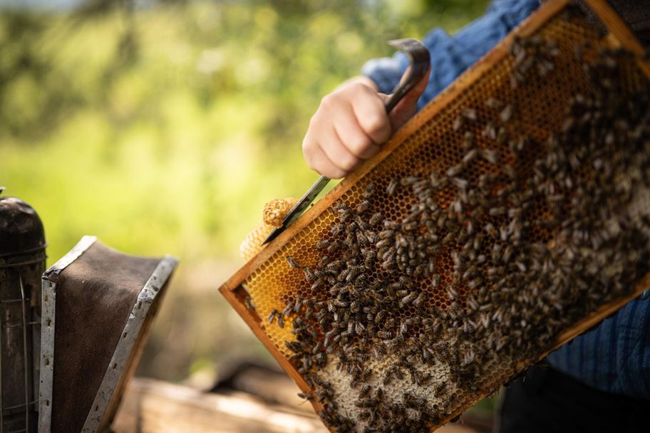 Der Honig der Bienen wird im Hofladen verkauft