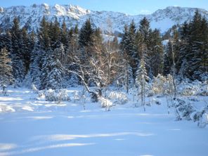 Hallo Winter