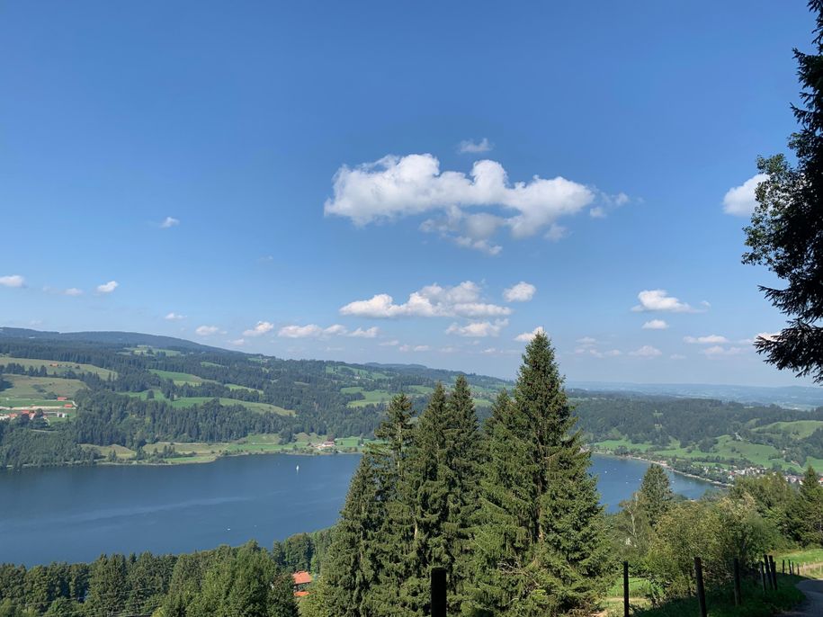 Blick auf den Großen Alpsee