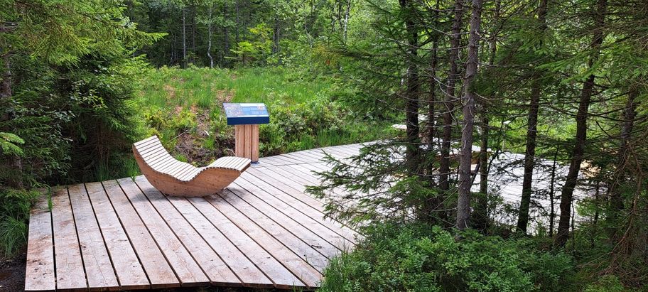 Köpfle-Rundweg bei Sibratsgfäll – entspannte Rundwanderung durchs Moor mit aussichtsreichem Panorama