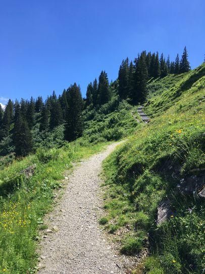 Hörner-Panoramaweg