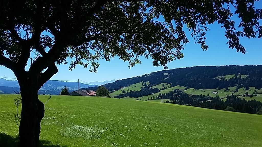 Aussicht Schweiz
