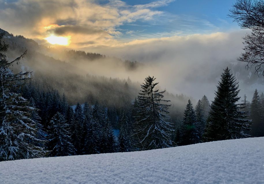 Winter Wonderland