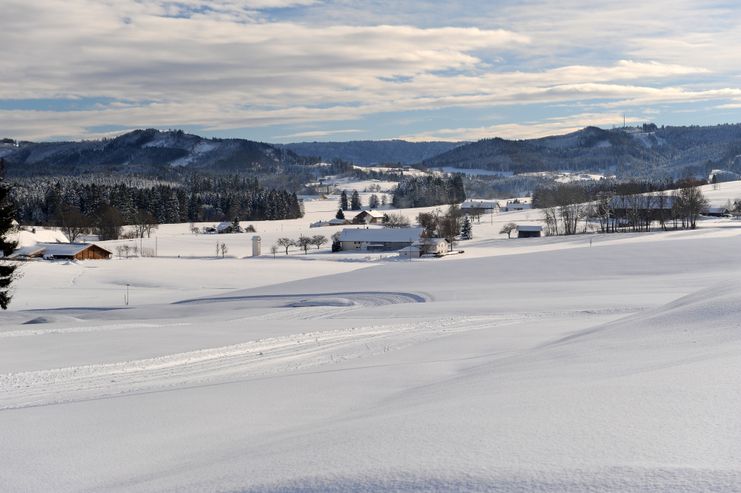 Voralpenland bei Maierhöfen Isny