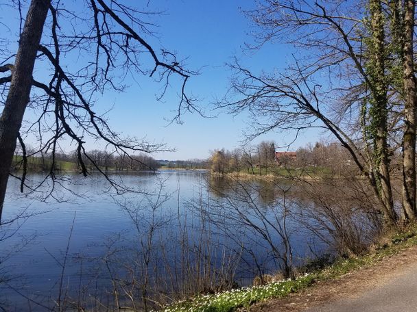 Badesee Großweiher