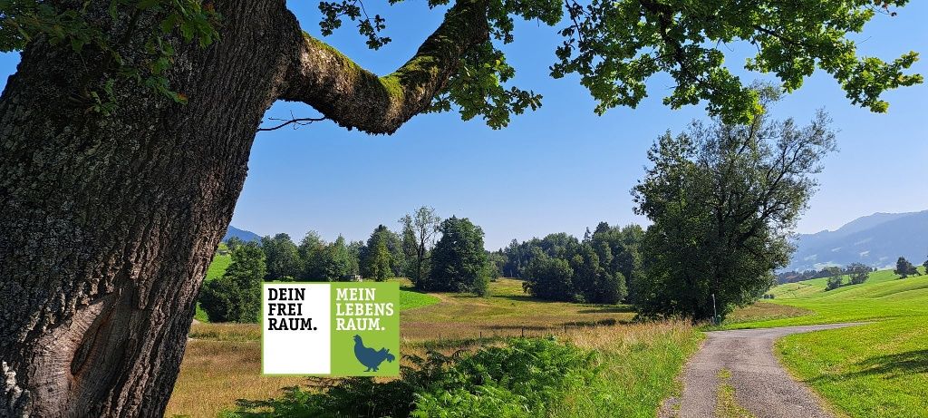 Moorrunde Salgenreute