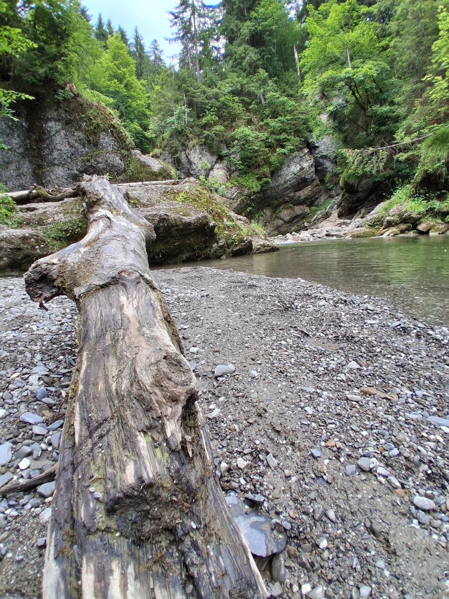 Gunzesried: Birkachmoor