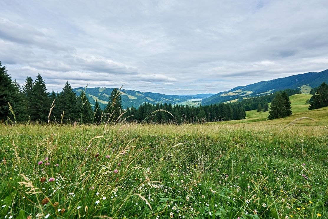 Blick in das Konstanzer Tal