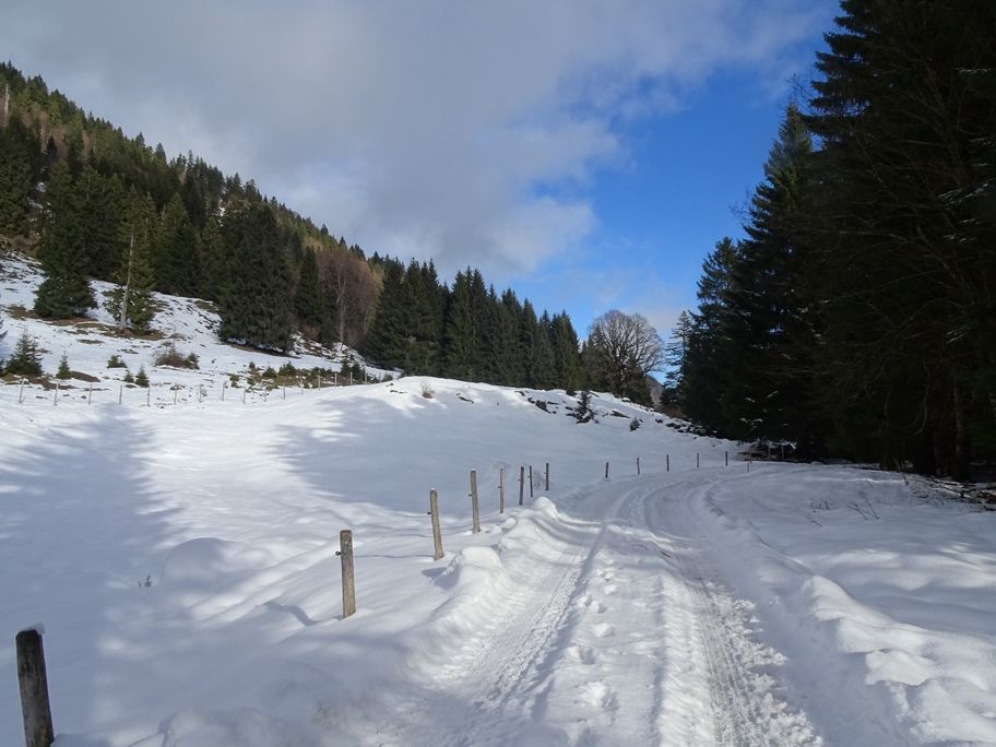 Naturpark Nagelfluhkette