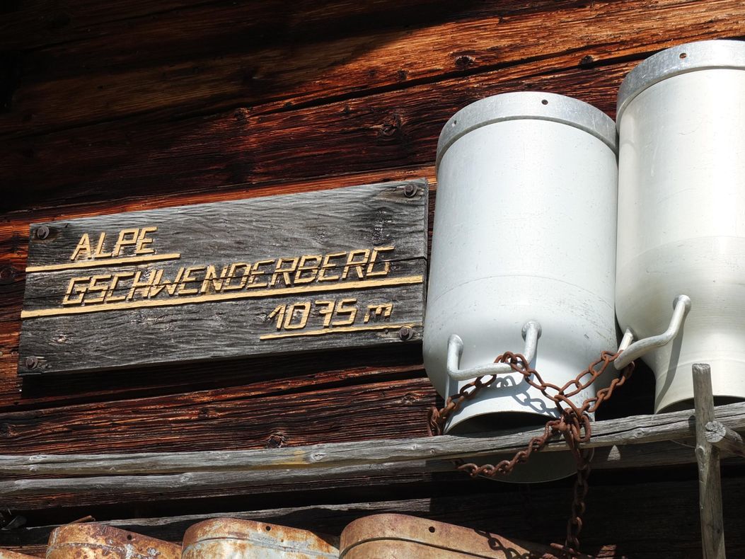 auf der Alpe Gschwenderberg