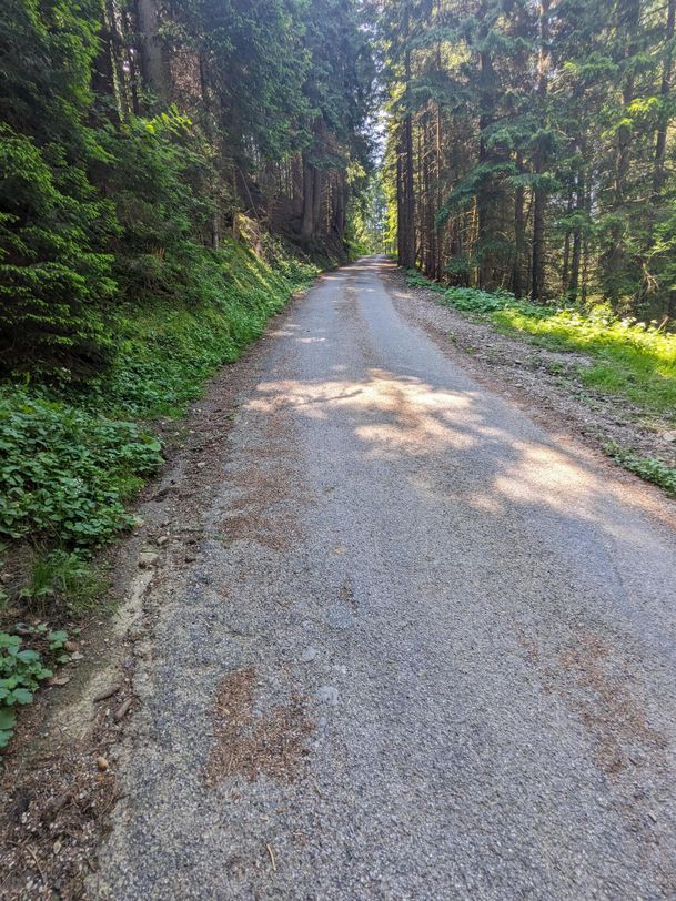 Fire Trail Nesselwang