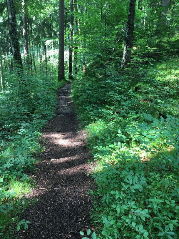 Hahnenkopfweg Richtung Zwei Seen Blick