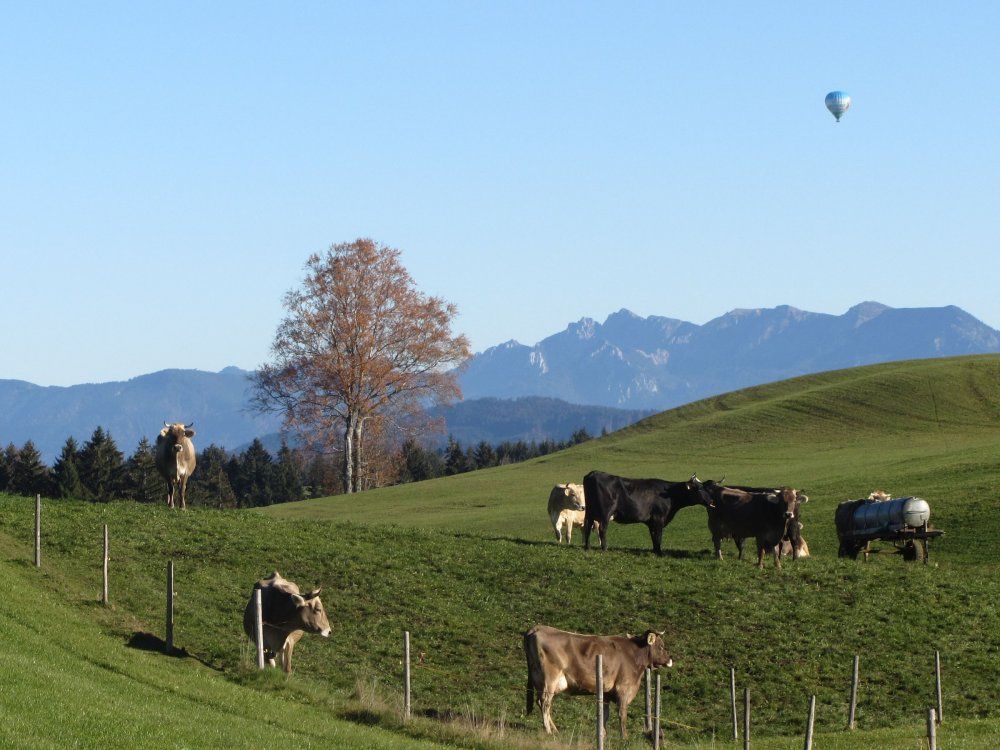 Unsere Landschaft