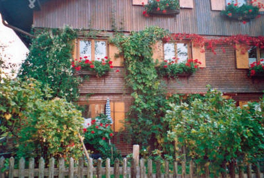 Hausansicht mit Garten