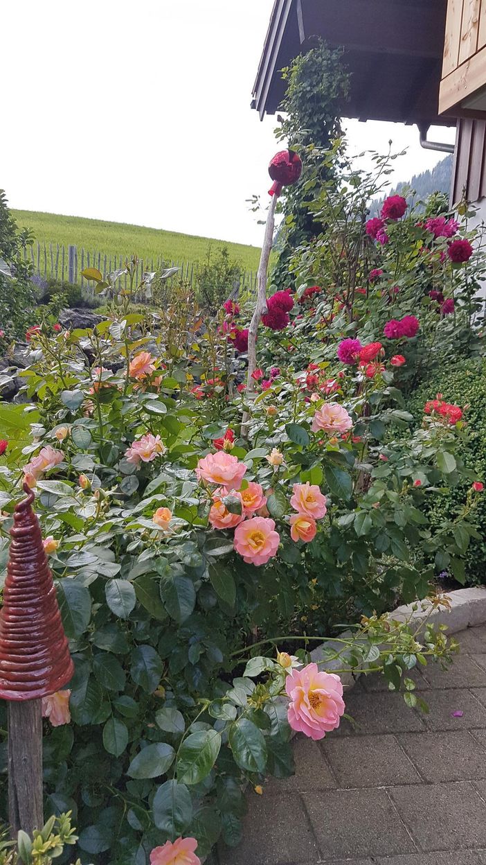 Sommerzeit