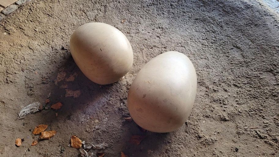 Vogellehrpfad Friesenried