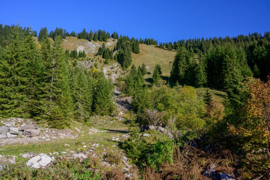 Alles fließt in Sibratsgfäll - Der Erdrutsch am Feuerstätterkopf