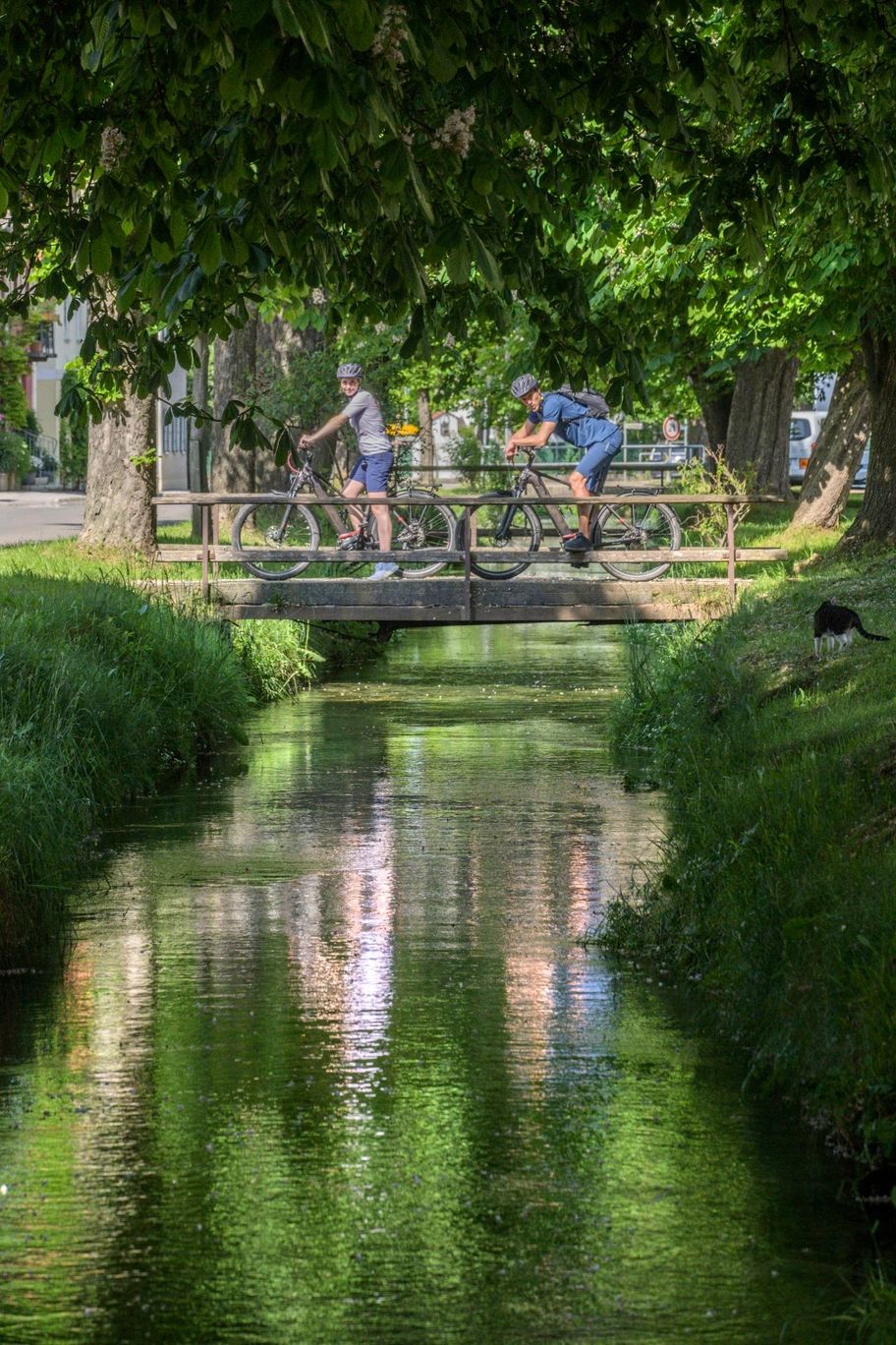 Wasserspiele in Waal