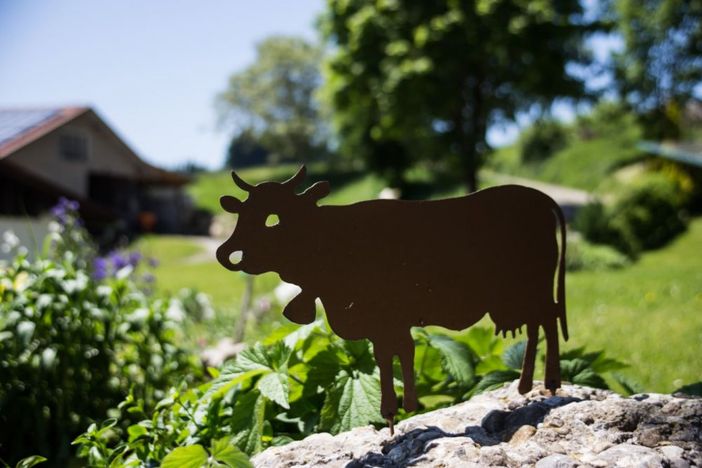 Urlaub auf dem Bauernhof