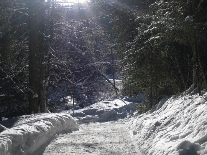 Wanderweg zur Hochgratbahn