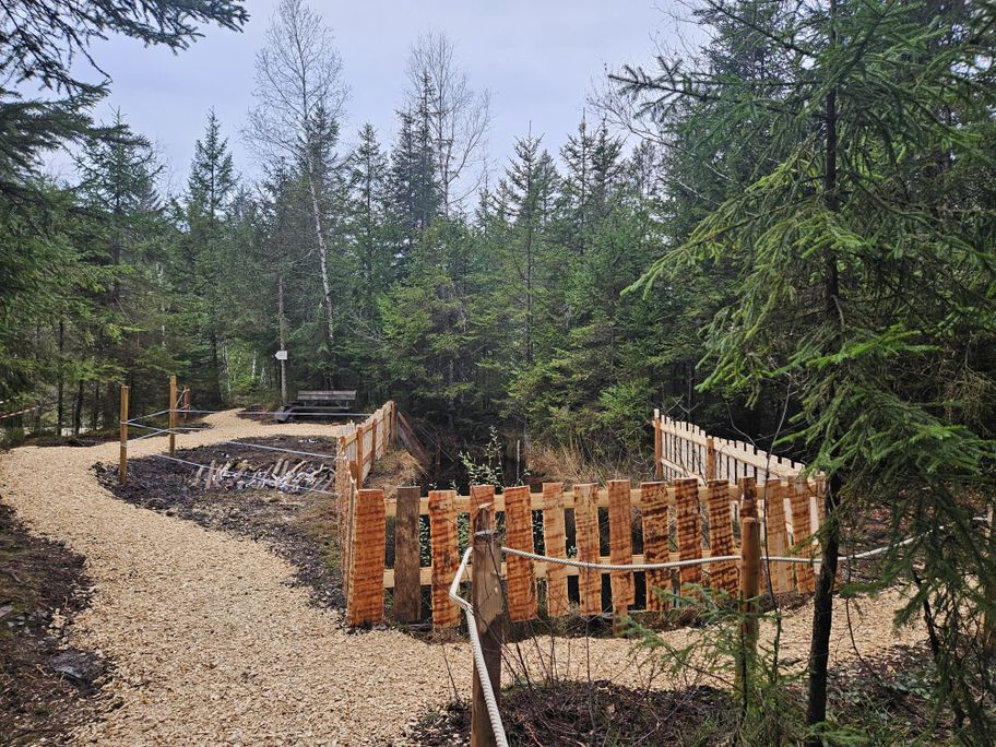 Köpfle-Rundweg bei Sibratsgfäll – entspannte Rundwanderung durchs Moor mit aussichtsreichem Panorama
