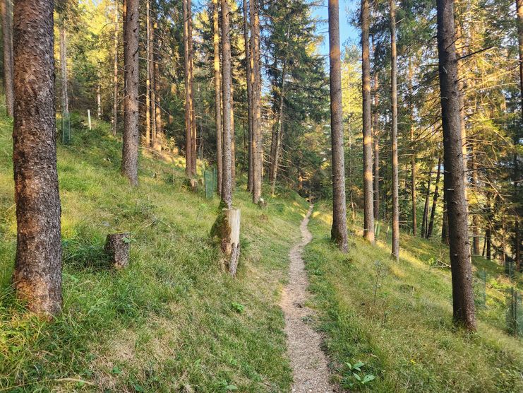 Vilsspaziergang