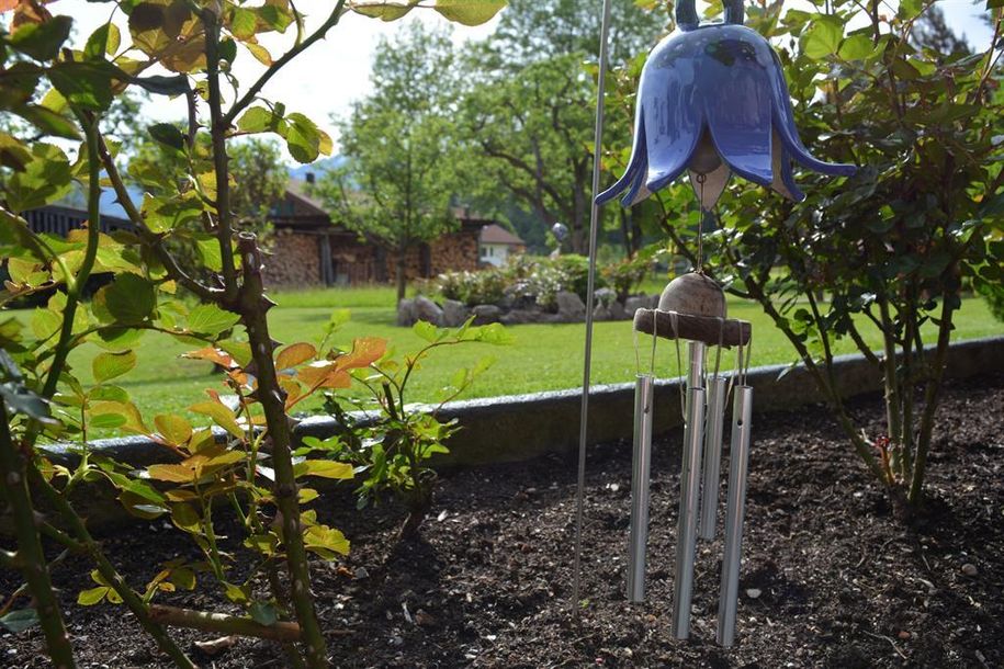 Gartenimpression (2)