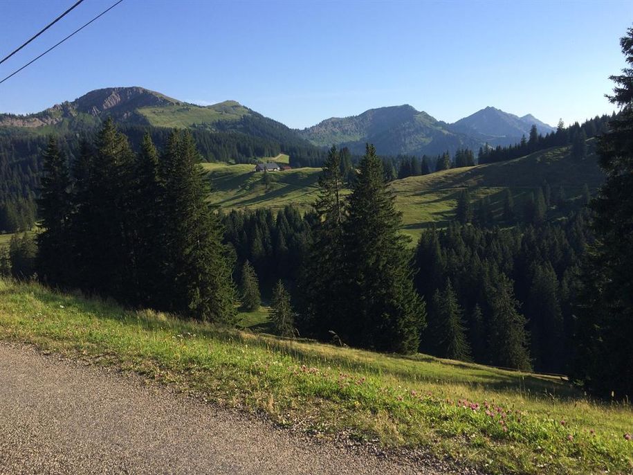 Alpe Mittelberg