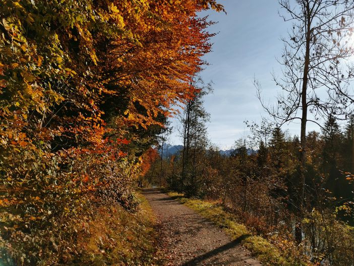 Herbst am Auwaldsee