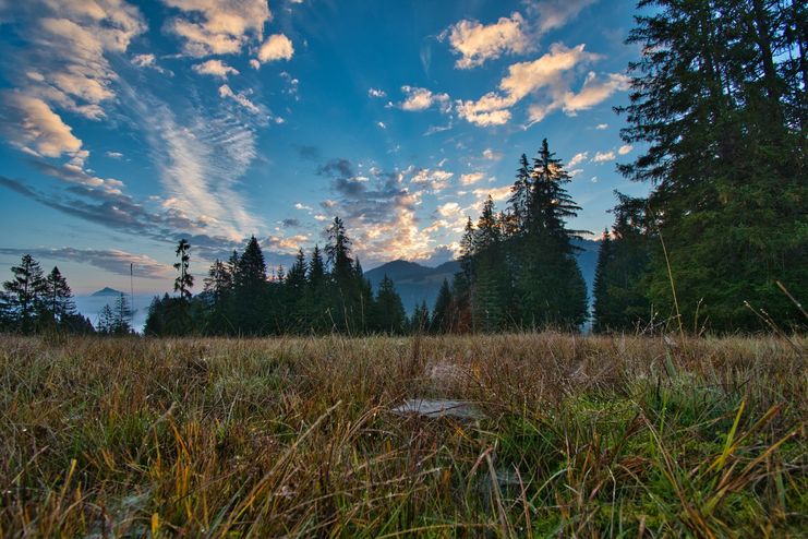 Foto: Florian Heinl