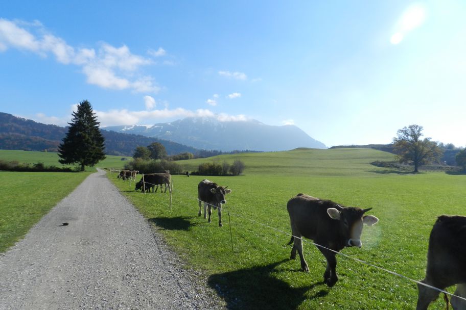 Schöner Radweg über die Iller