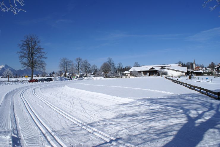 Vom Fuße des Tegelbergs zum Schlossbrauhaus, Schwangau