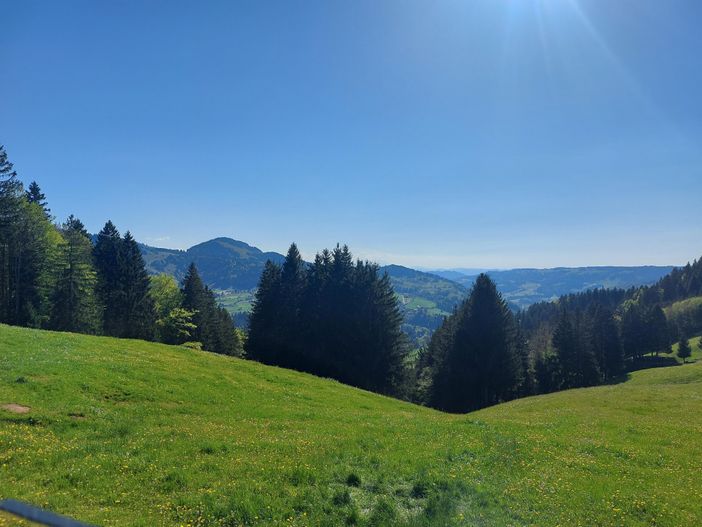 Blick zum Zentis