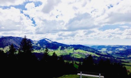 Ausblick