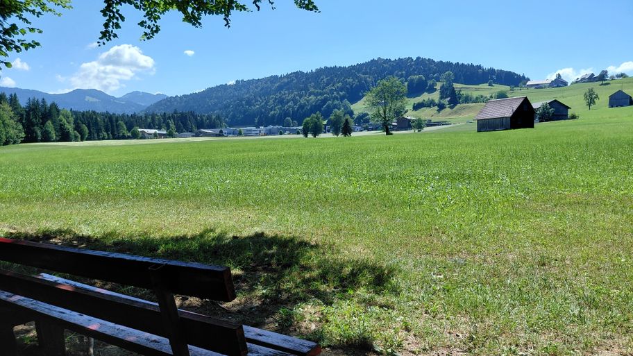 Blick Richtung Parzelle Gfäll