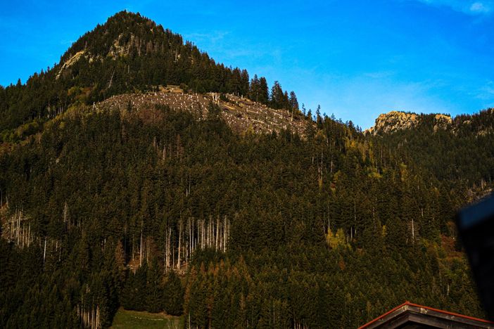 Blick von der Dachterrasse zum Burgberger Hörnle