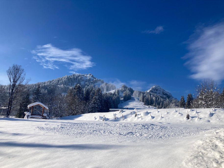 Spieserblick